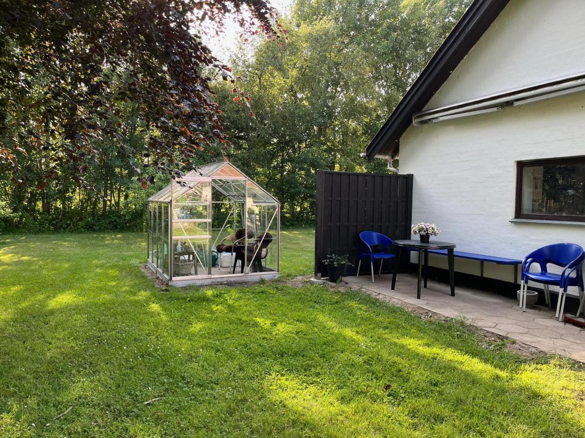 Fuglsang Bed & Breakfast Hjorring Bagian luar foto