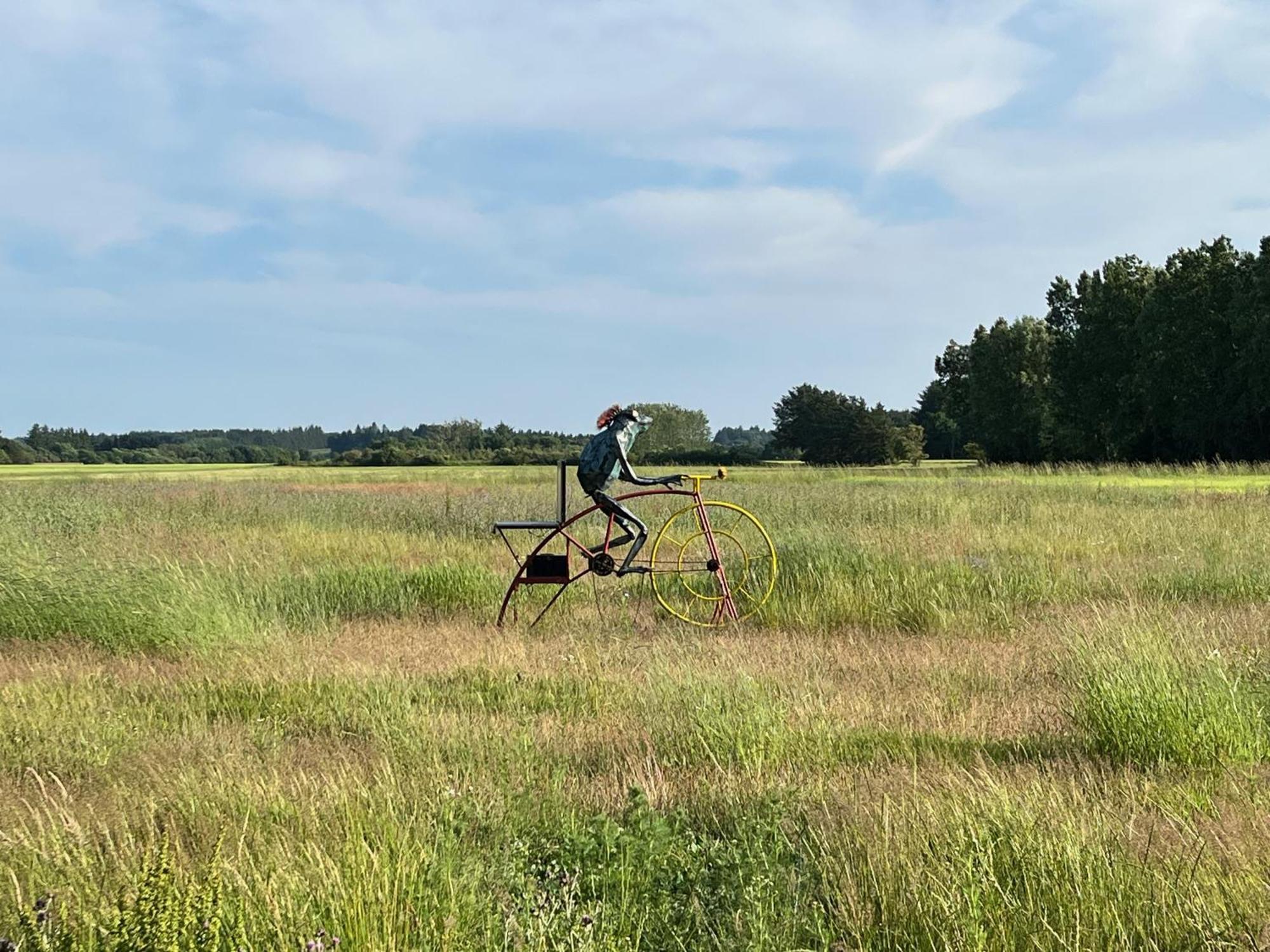 Fuglsang Bed & Breakfast Hjorring Bagian luar foto